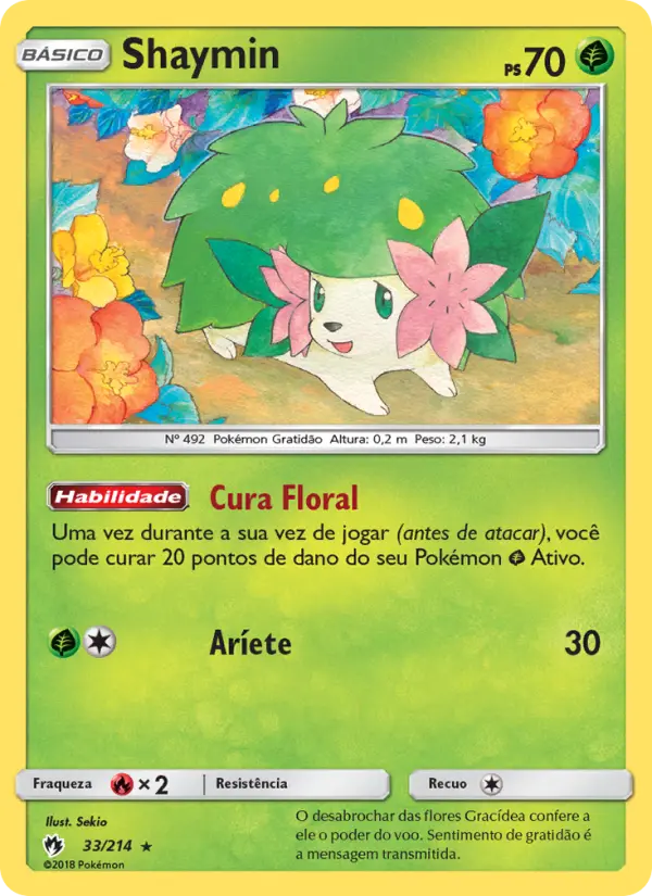 Carta 33