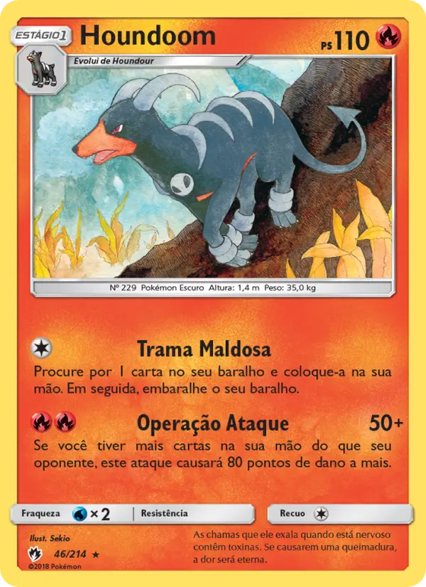 Carta 46