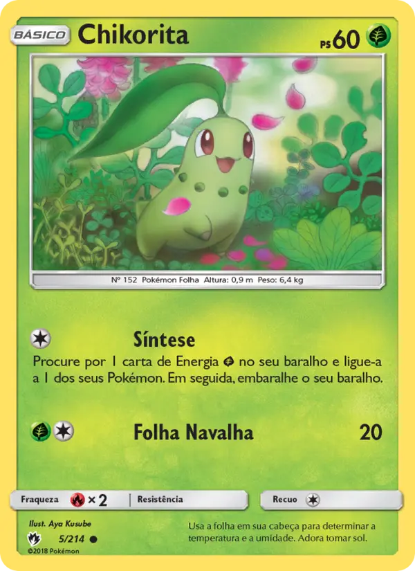 Carta 5