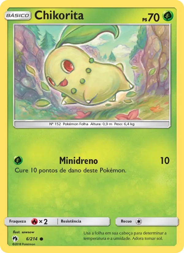 Carta 6