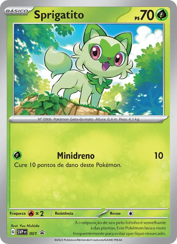 Carta 013