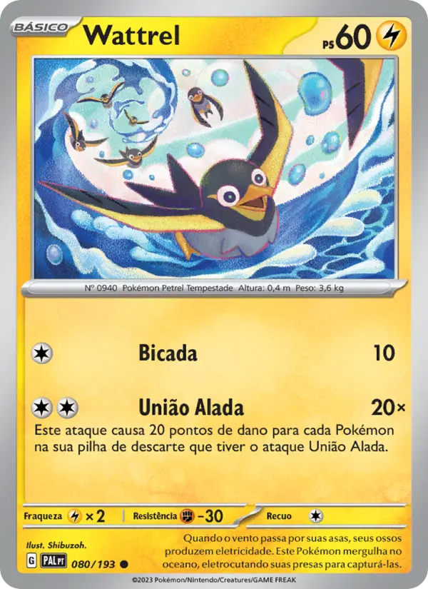 Carta 080