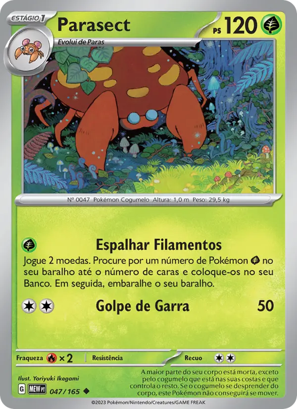 Carta 047