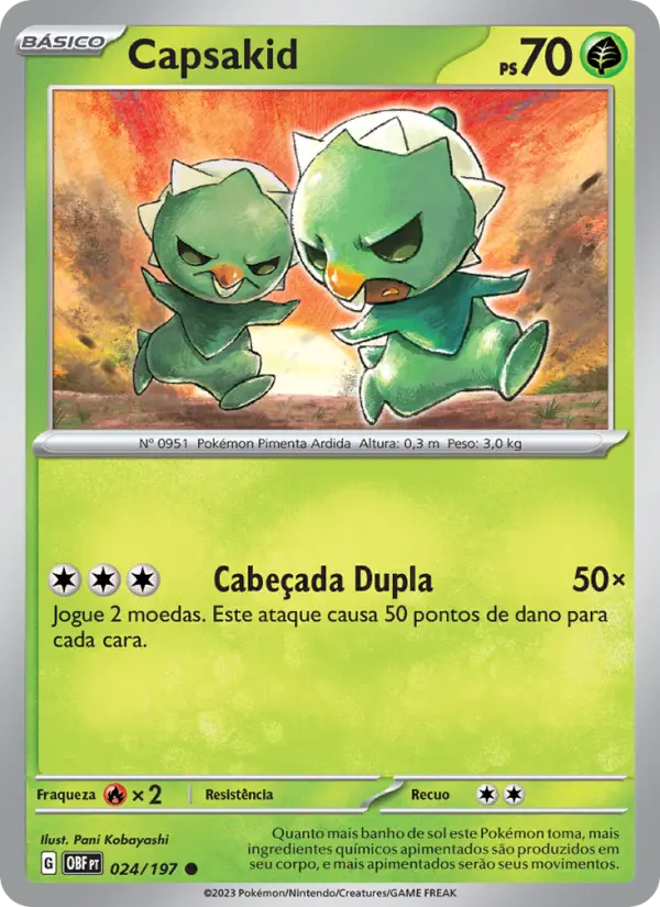 Carta 024