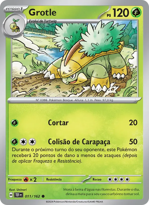 Carta 011