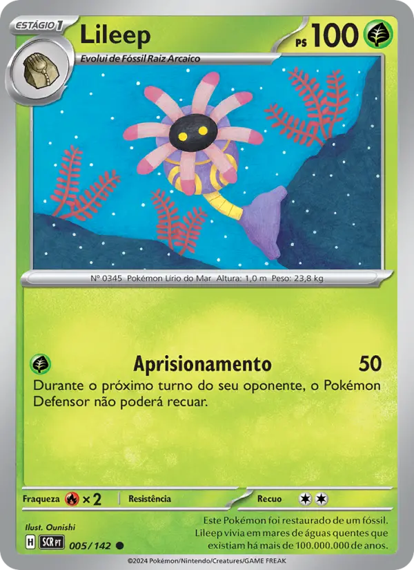 Carta 005