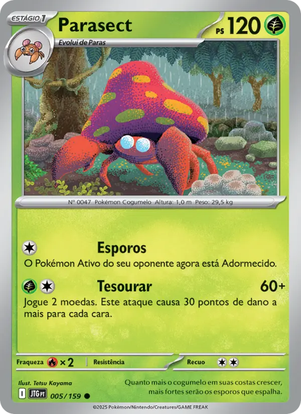 Carta 005