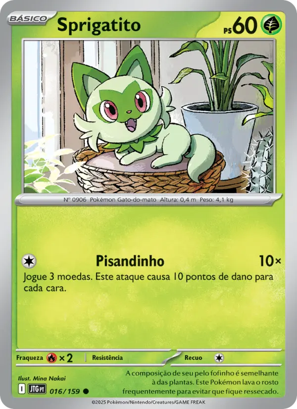 Carta 016