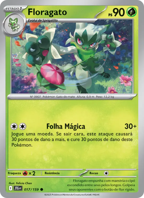 Carta 017