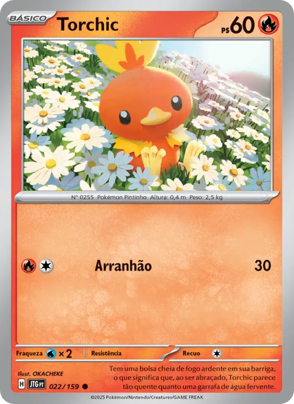 Carta 022