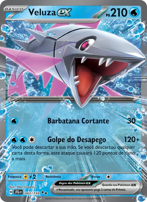 Carta 043