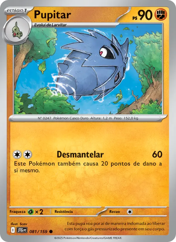 Carta 081