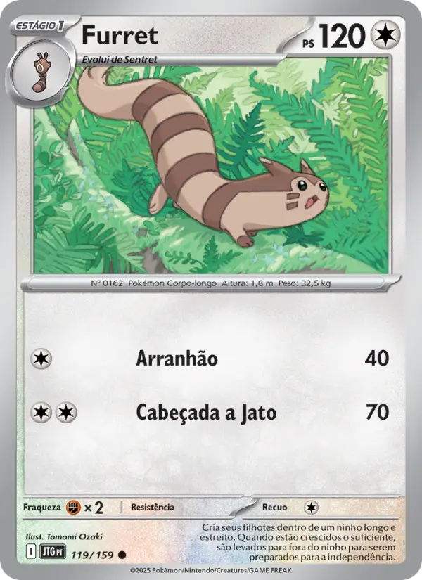 Carta 119
