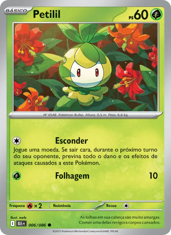 Carta 006