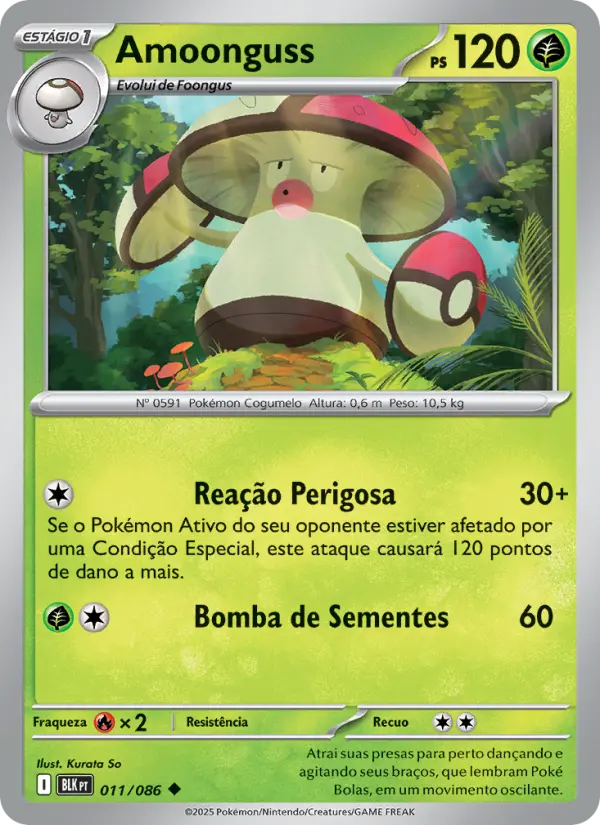 Carta 011
