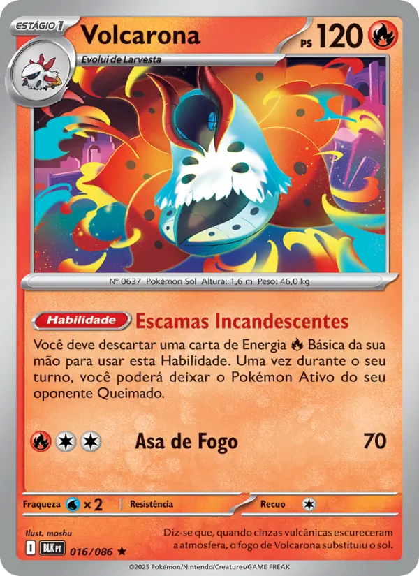 Carta 016