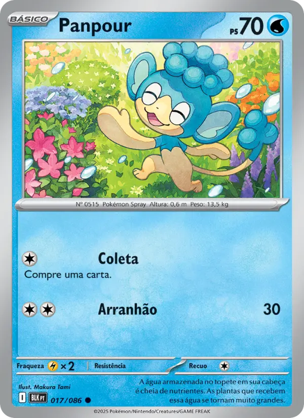 Carta 017