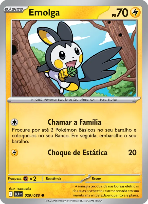 Carta 029