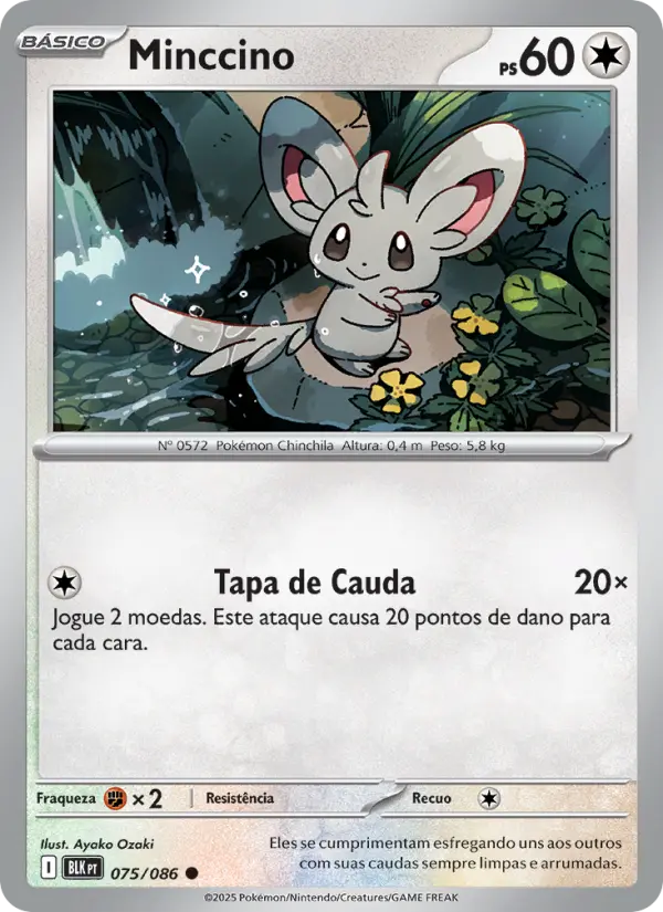 Carta 075