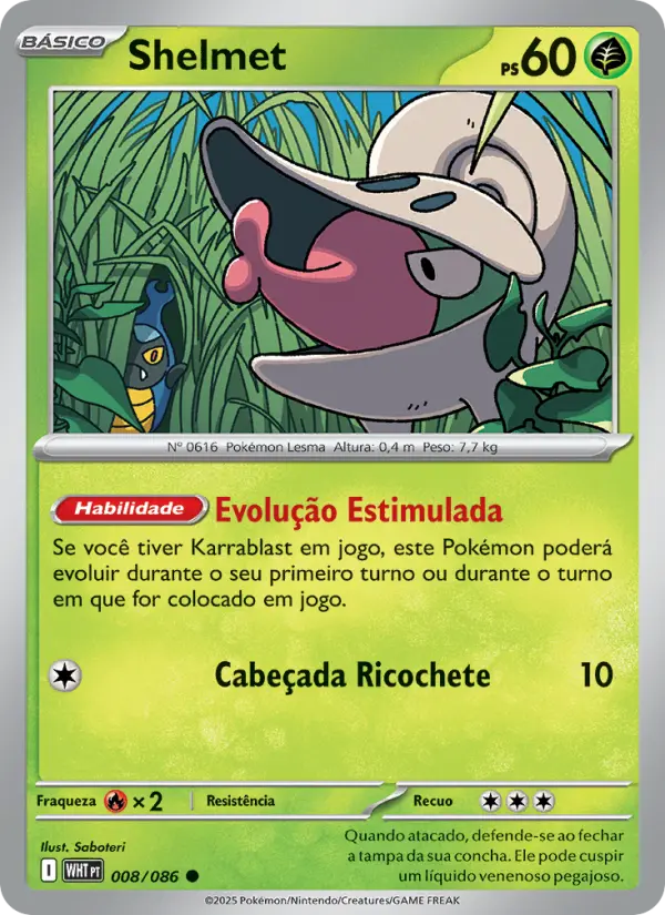 Carta 008