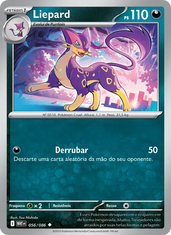 Carta 056