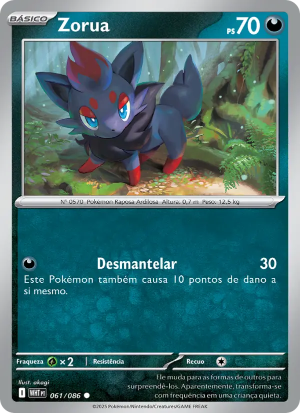 Carta 061