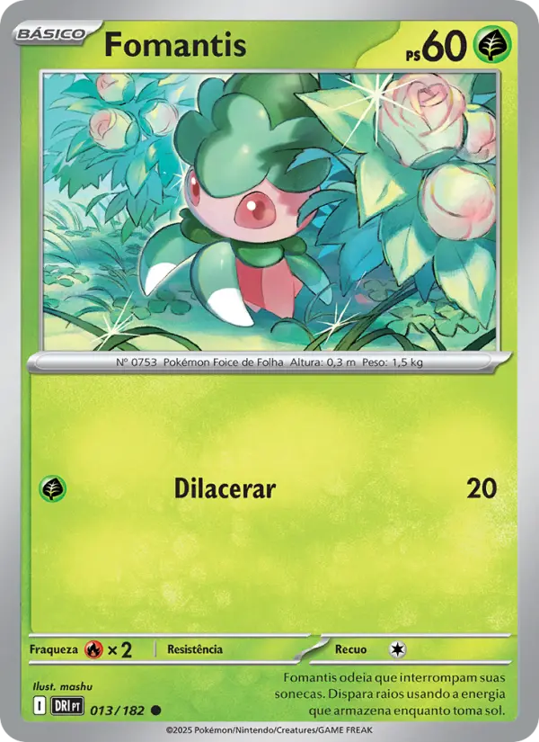Carta 013