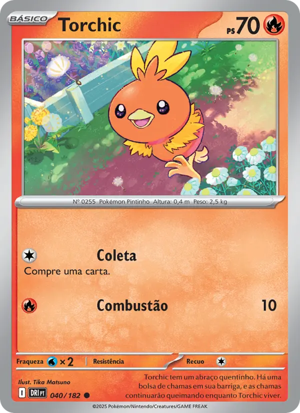 Carta 040