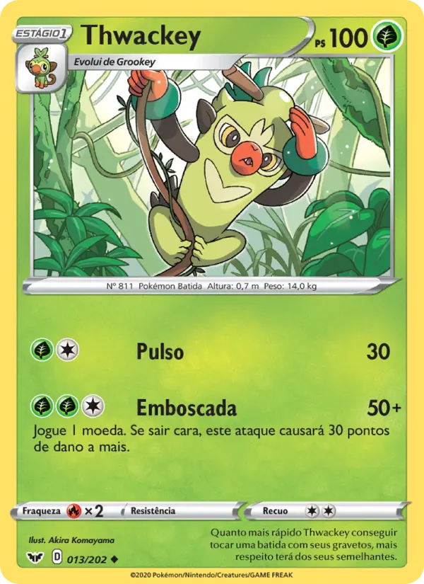 Carta 13