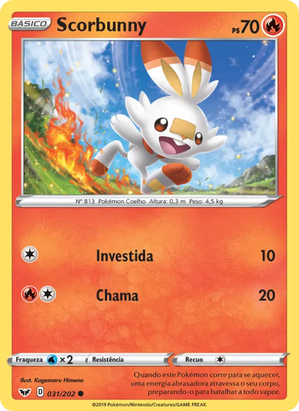 Carta 31