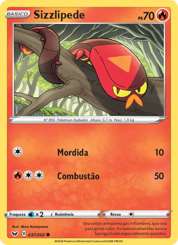 Carta 37