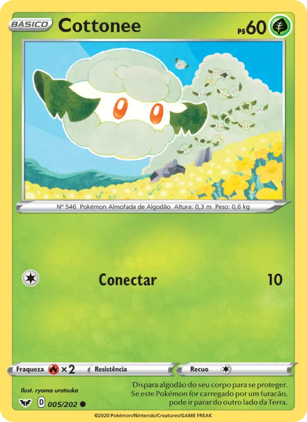 Carta 5