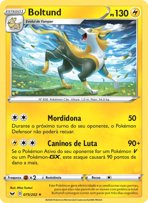 Carta 75