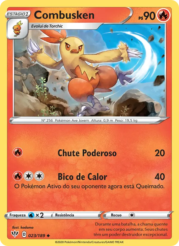 Carta 23