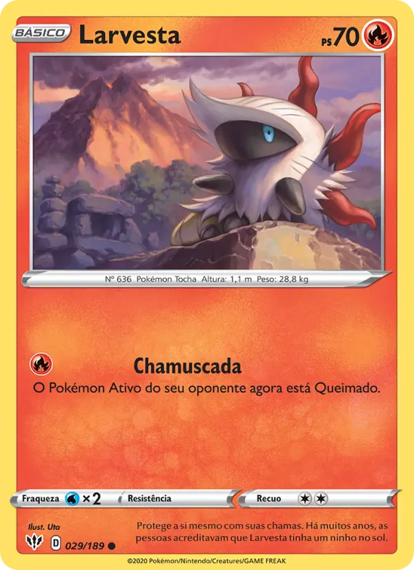 Carta 29