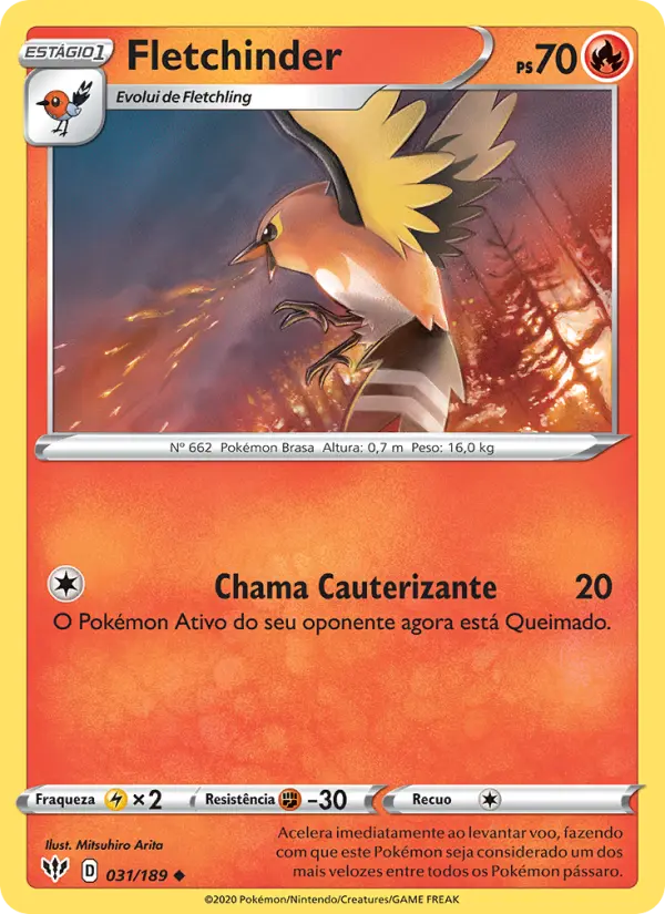 Carta 31