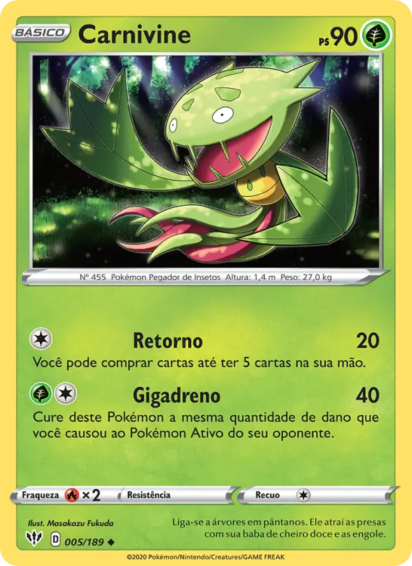 Carta 5