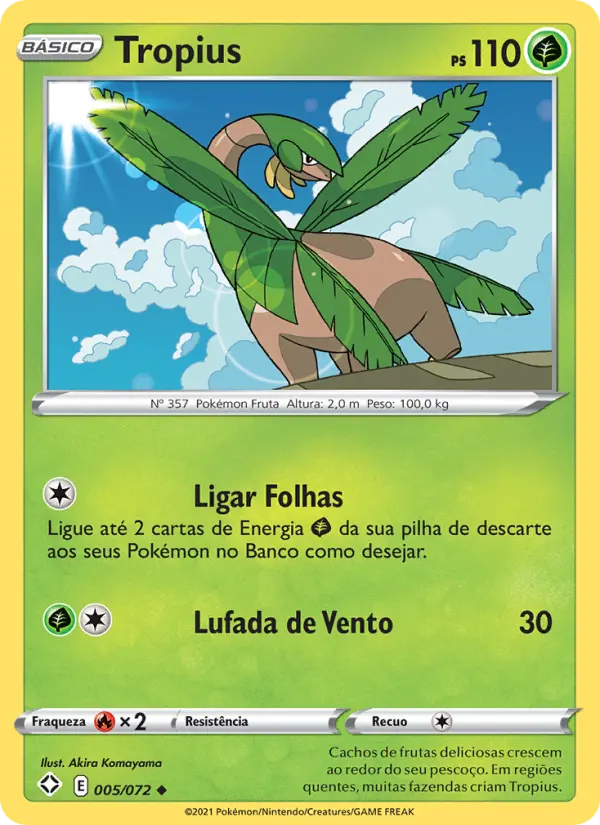 Carta 5