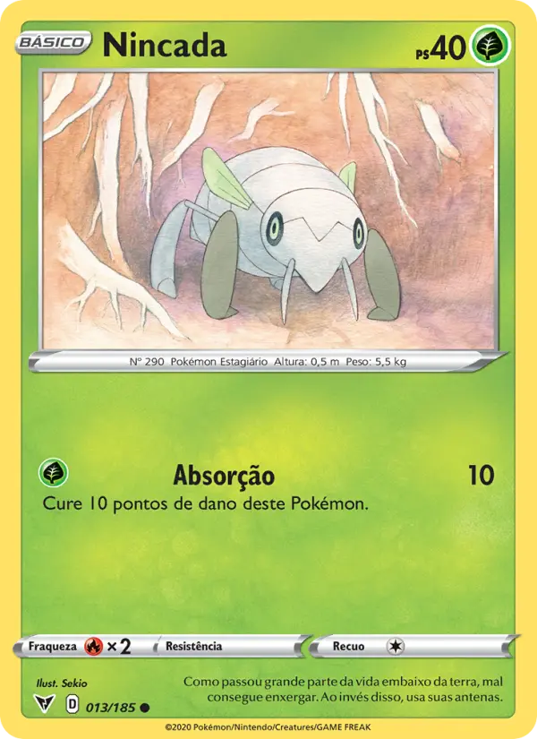 Carta 13