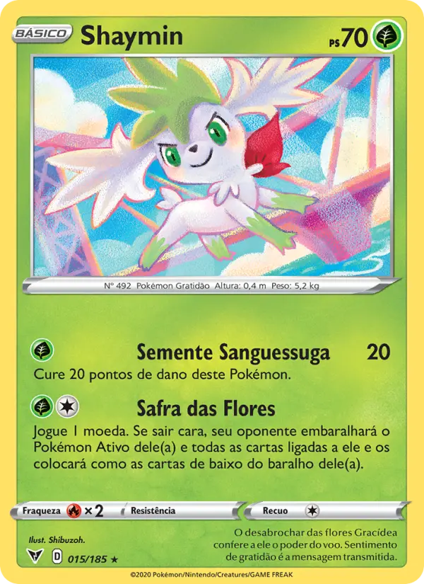 Carta 15