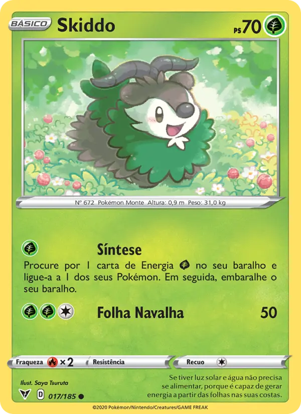 Carta 17