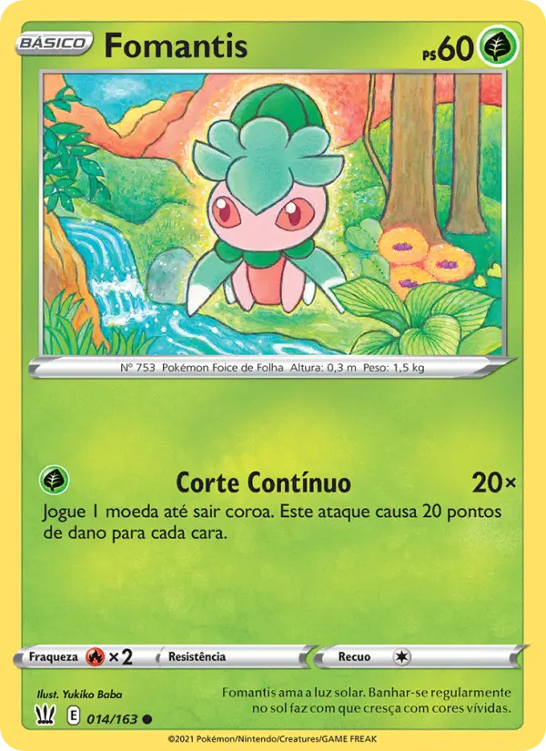 Carta 14