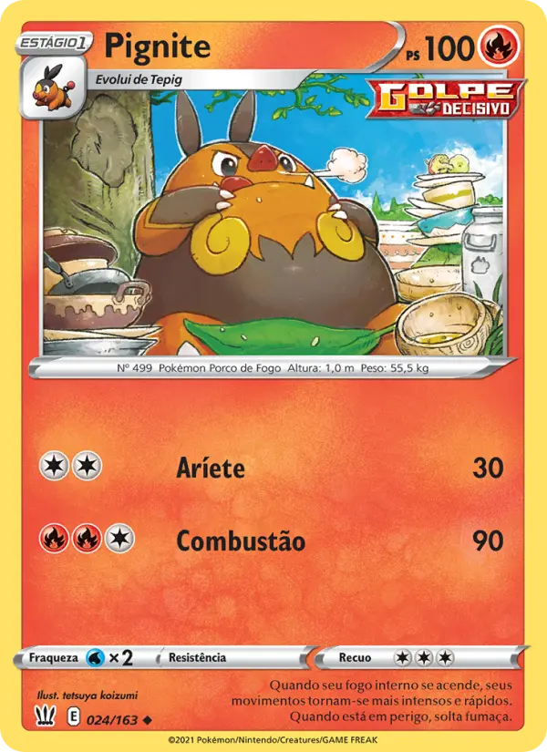 Carta 24