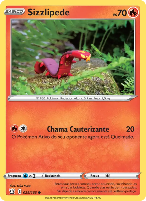 Carta 29