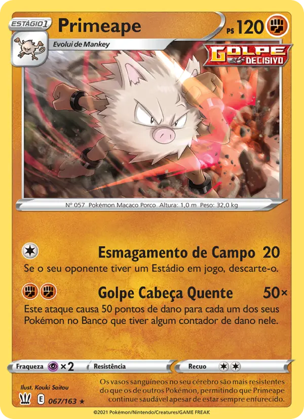 Carta 67