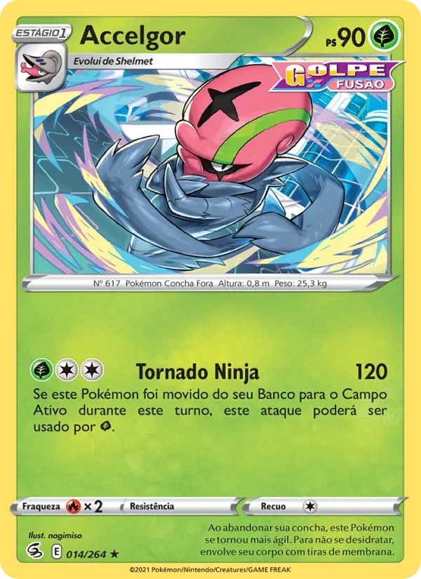 Carta 14