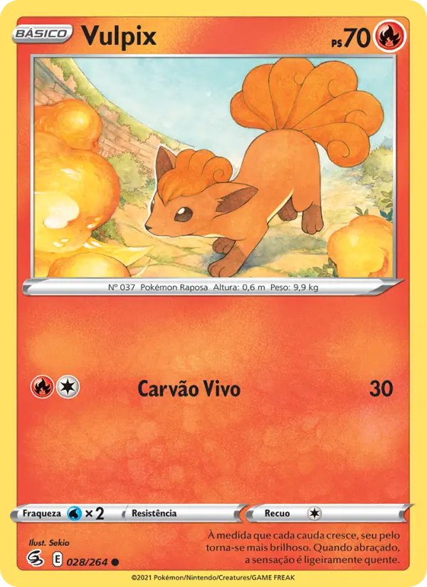 Carta 28