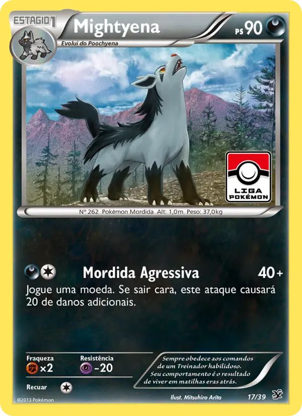 Carta 17