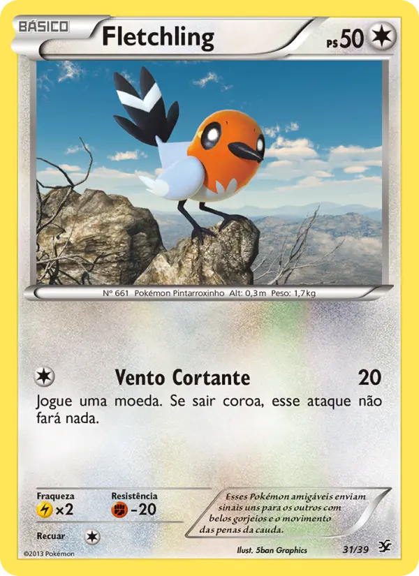 Carta 31