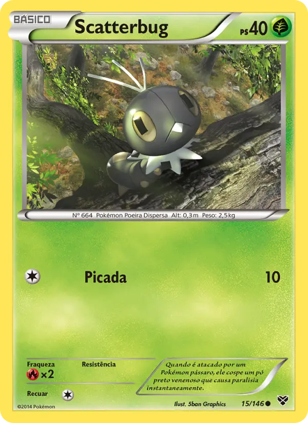 Carta 15